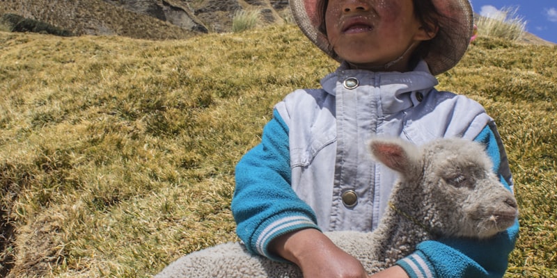 CBA总决赛易建联专访报道配图 - 易建联训练投篮